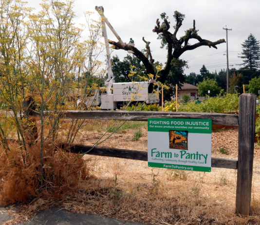 Community Garden Hits a Snag Sign on fence