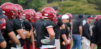Greyhounds on the sidelines
