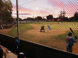 PEL Trophy Stays Home, League to Expand Baseball at sundown