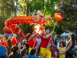 Dragon parade in Healdsbur