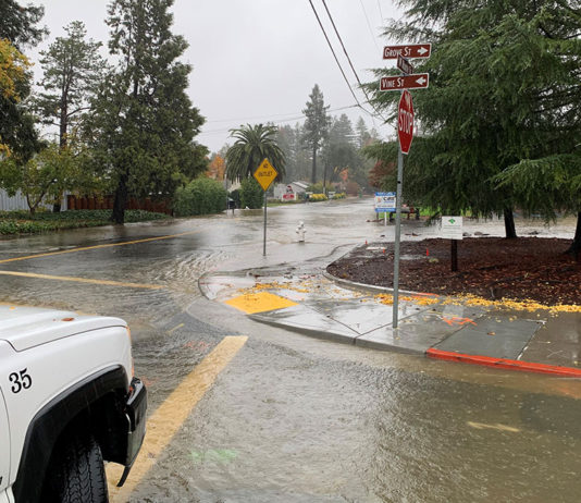 Police Log, Nov. 11 – 17 Stormy streets