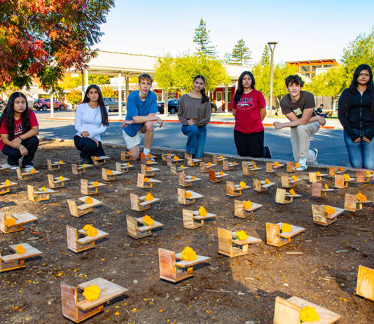 108 ‘Tiny Desks’ Represent Student Lives Lost