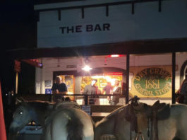 Healdsburg Pics of the Week: Horses at Dry Creek Bar