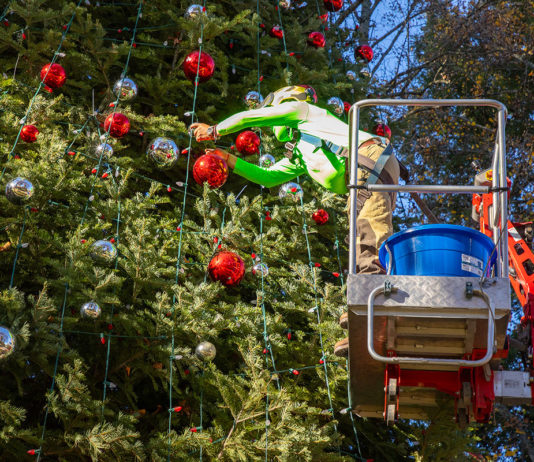 Setting the Stage for the Holidays Decorating the tree