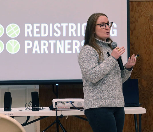 Liz Stitt of Redistricting Partners speaks