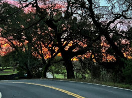 Mill Creek Road at sunrise