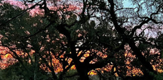 Mill Creek Road at sunrise