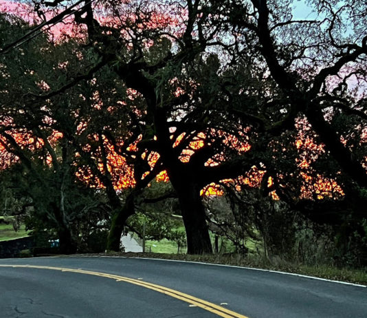 Mill Creek Road at sunrise