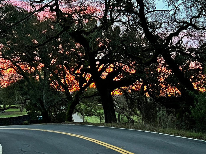 Mill Creek Road at sunrise