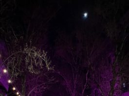 Healdsburg Pics of the Week: V-Day Lights