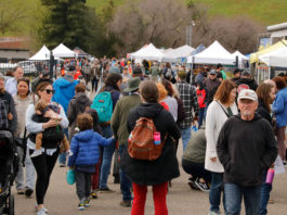 Lake Sonoma Steelhead Festival