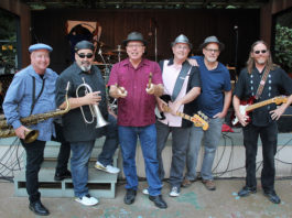 Pulsators rock band