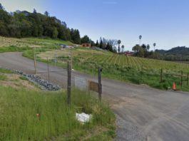 Another Big Tasting Room Opening in Rural Healdsburg