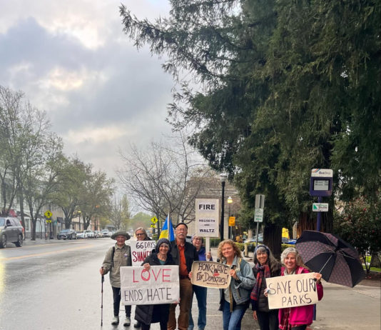 Healdsburg Pics of the Week: Plaza Protests