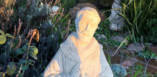 St. Francis statuary