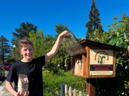 Healdsburg Pic of the Week: New Coffee-Bean Hut on Johnson