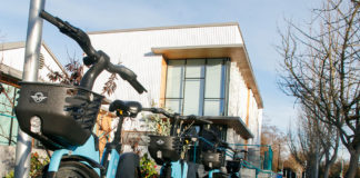 Bird Bikes at Healdsburg City Hall