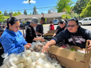 Food distribution in Healdsburg