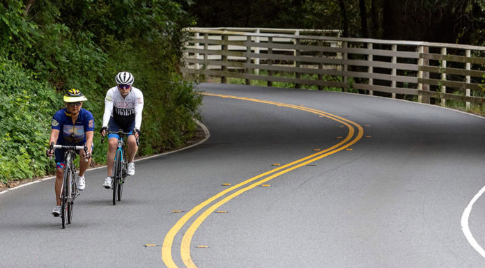 Cyclists on Healdsburg back road