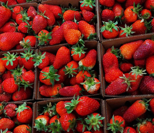 Fresh spring strawberries