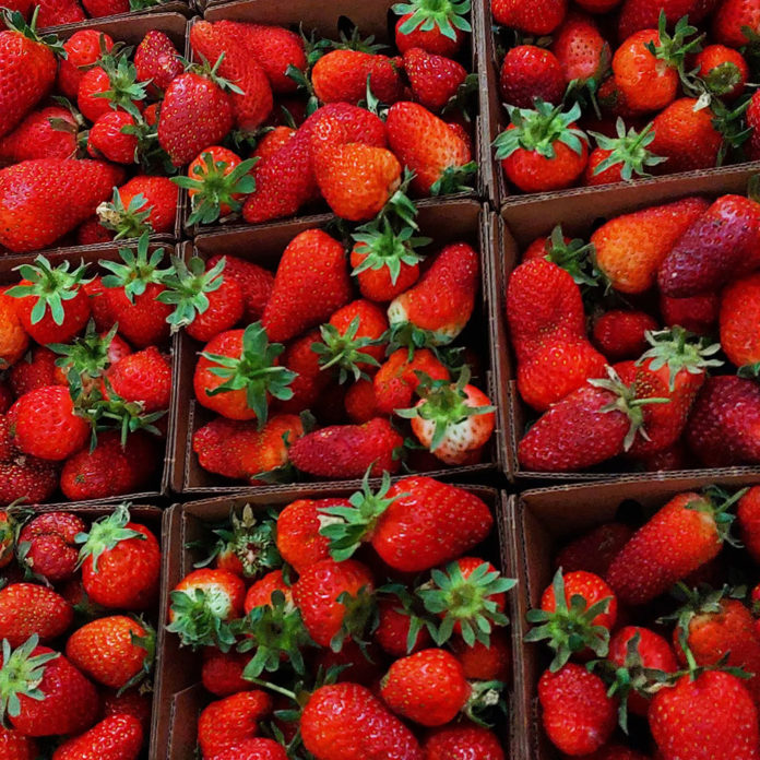 Fresh spring strawberries