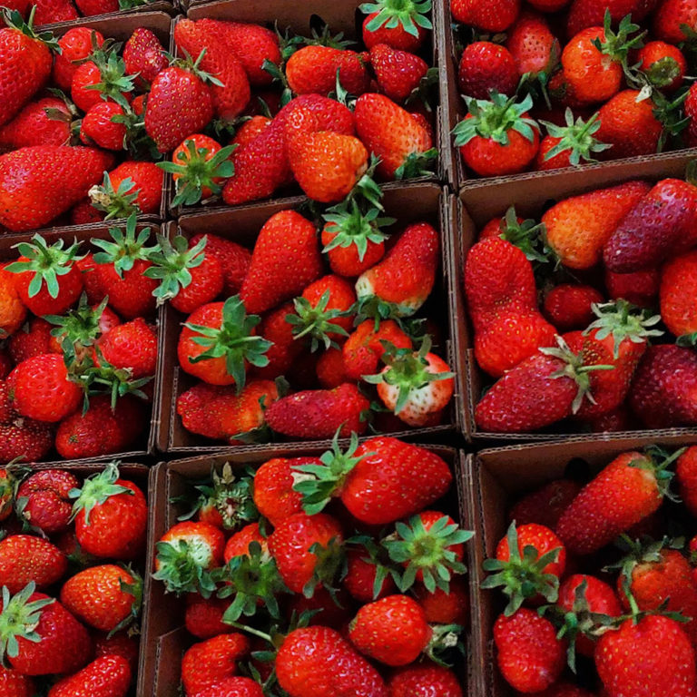 Fresh spring strawberries
