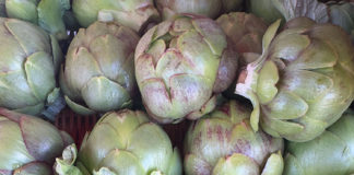 California artichokes are at their best now...