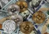 Cryptocurrency Trending Upward