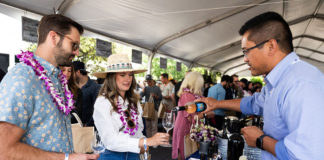Grand Tasting at the Vintage Plaza, Healdsburg
