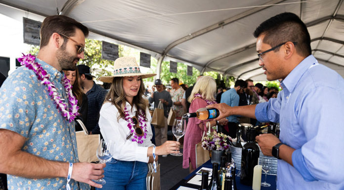Grand Tasting at the Vintage Plaza, Healdsburg