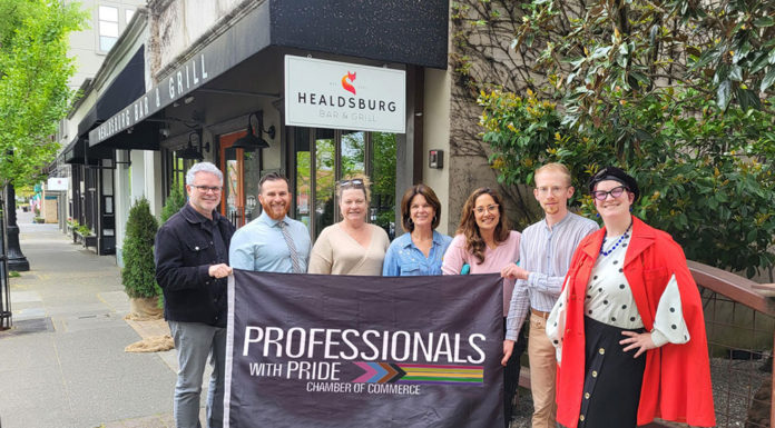 Professionals with Pride