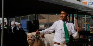 Healdsburg Future Farmer with his yearly project