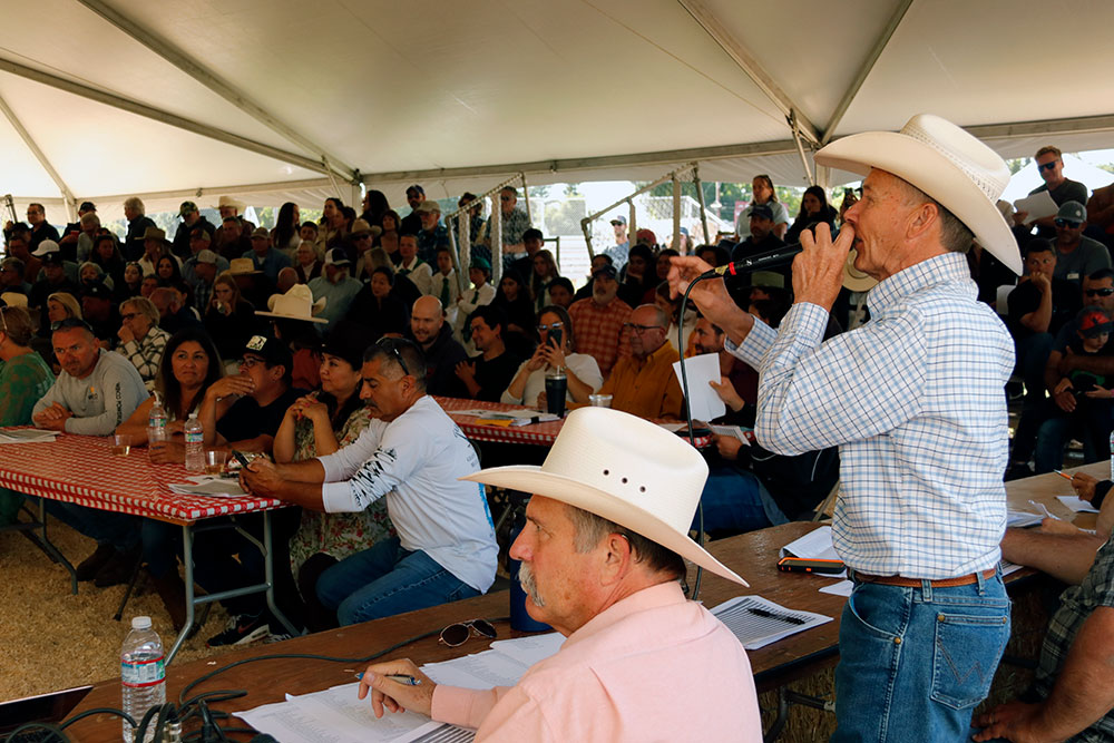 Auctioneer at Healdsburg's FFA Country Fair