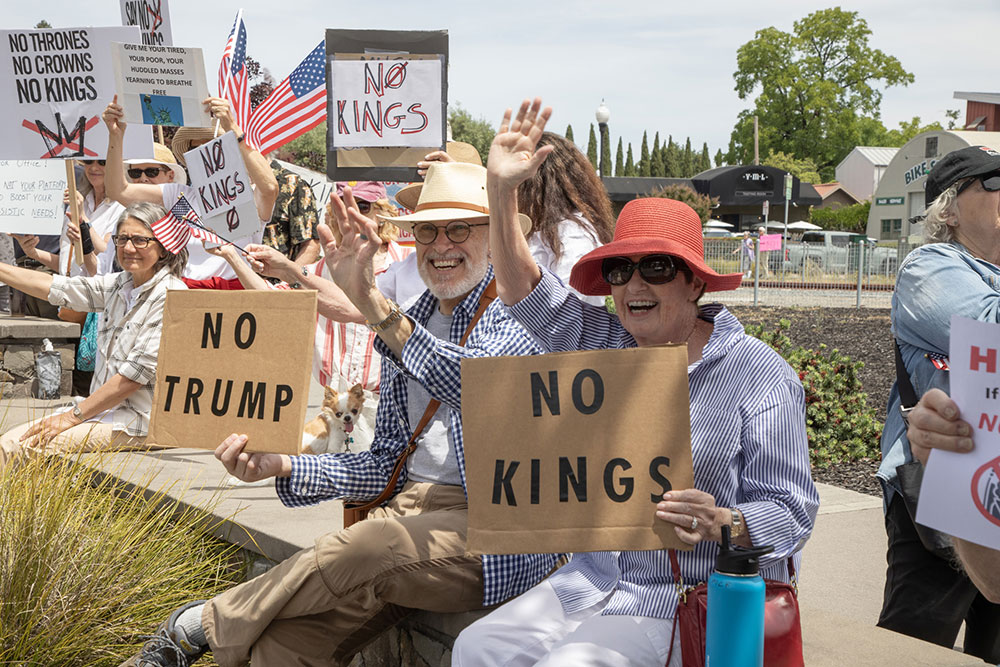 Protest signs in Healdsburg, June 14