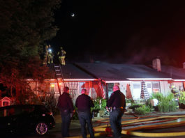 Firefighters on Pordon Lane