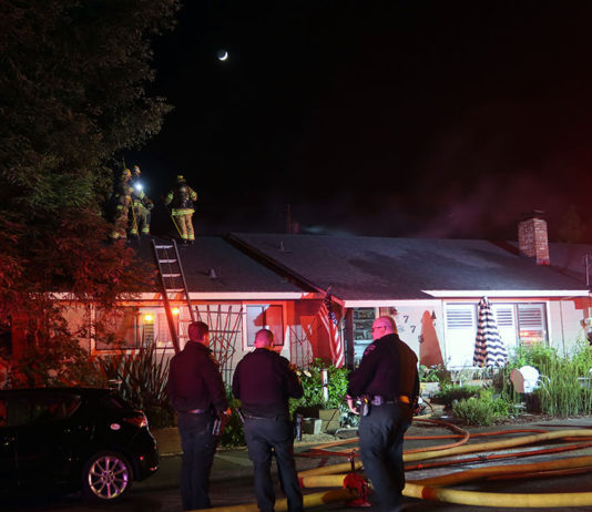Firefighters on Pordon Lane