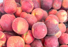 Peach flat