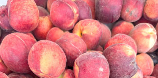 Peach flat