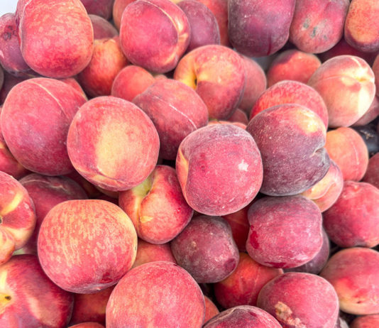 Peach flat