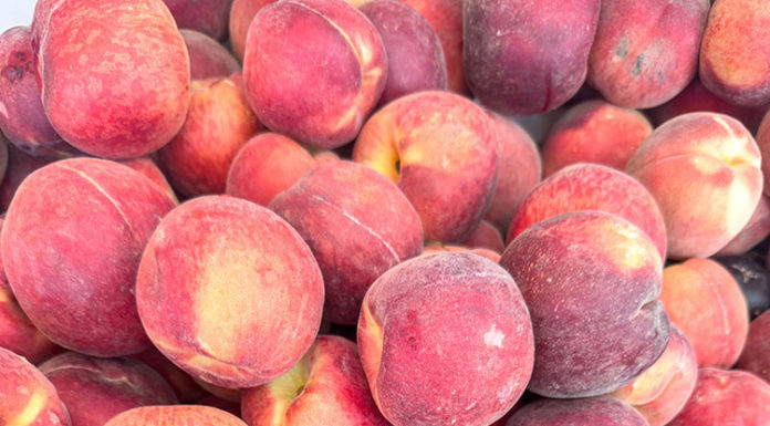 Peach flat
