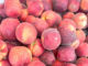 Peach flat