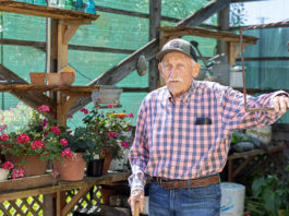 Healdsburg's gardener Bob Buck
