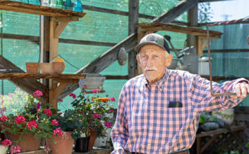 Healdsburg's gardener Bob Buck