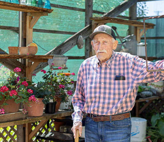 Healdsburg's gardener Bob Buck