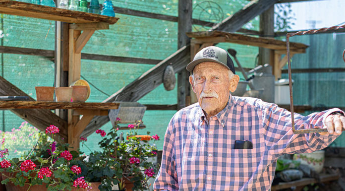 Healdsburg's gardener Bob Buck