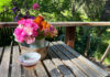 June flowers and a whiskey sour