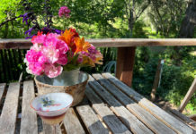 June flowers and a whiskey sour
