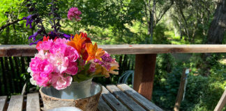 June flowers and a whiskey sour