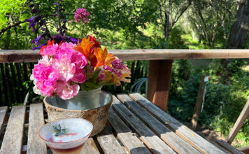 June flowers and a whiskey sour