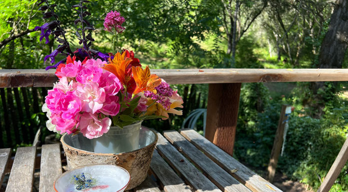June flowers and a whiskey sour